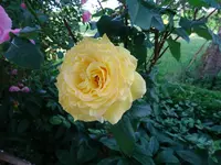 DSC01820.webp