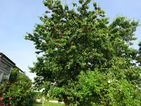 DSC01821.webp