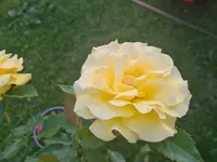 20210620_084056.webp