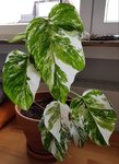 20210620_092555.jpg