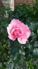 20210619_183415.webp 20210619_183415.webp