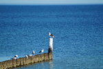 DSC00783.JPG