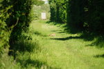DSC00808.JPG