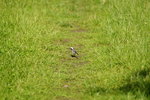 DSC00813.JPG