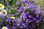 DSC00941.JPG