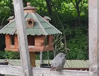 IMG_20210614_201302.webp