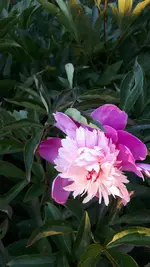 20210616_201828.webp