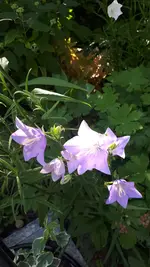 20210616_173627.webp