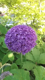 20210616_173707.webp