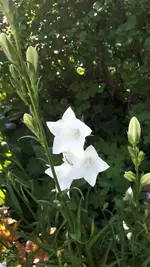 20210616_173635.webp
