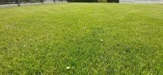 20210620_183900.webp