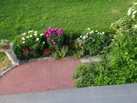 DSC01829.webp