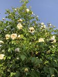 IMG_8461.JPG