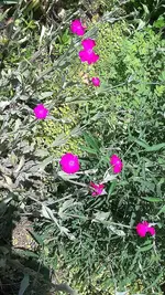 20210620_115147.webp