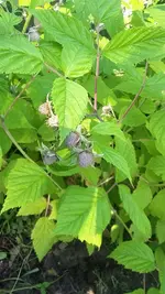 20210620_115407.webp