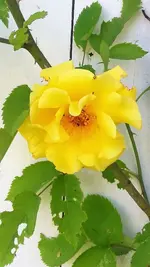 20210620_115423.webp