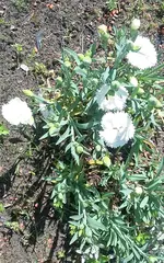 20210620_115516.webp