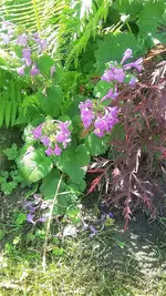 20210620_115759.webp