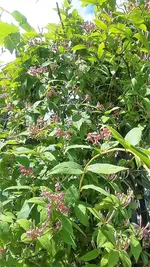 20210620_115918.webp