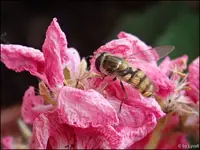 c022.webp