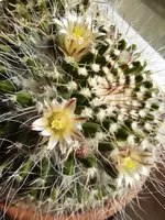 20210616_174353.webp