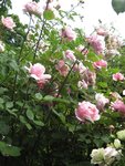 IMG_4727.JPG