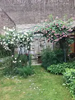 9D318D10-82C3-4EBF-9DB3-C763F93AACF8.webp