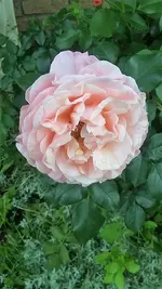 20210621_141629.webp 20210621_141629.webp