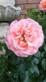 20210621_141819.webp 20210621_141819.webp