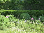 P1040181Blumenkannte - mein Beet.JPG