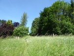 P1040206Übersicht.JPG