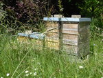 P1040207Bienenstöcke.JPG