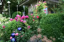 Juni    1821.webp