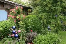 Juni    1921.webp