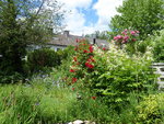 P1040254rechte Gartenseite.JPG