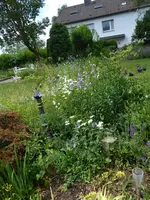 P1040269linke Gartenseite.webp