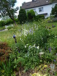 P1040269linke Gartenseite.JPG