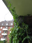 P1040272Winden.JPG