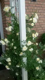 20210621_141910.webp