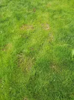 20210622_180641.webp