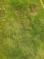 20210622_181314.webp
