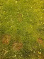 20210622_181824.webp