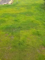 20210622_193622.webp