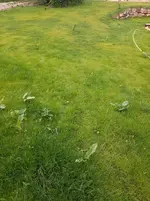 20210622_195052.webp
