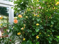 DSC01846.JPG