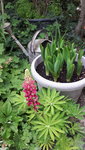 20210622_180521.jpg