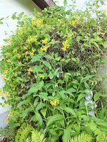 DSCF4758 (2).webp