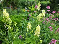 DSCF4759 (2).webp