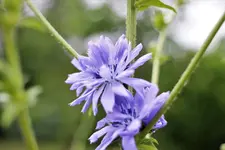 image001.jpg image001.jpg