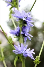 image002.jpg image002.jpg